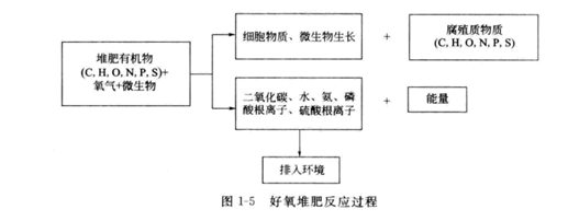 好氧堆肥反應(yīng)過(guò)程
