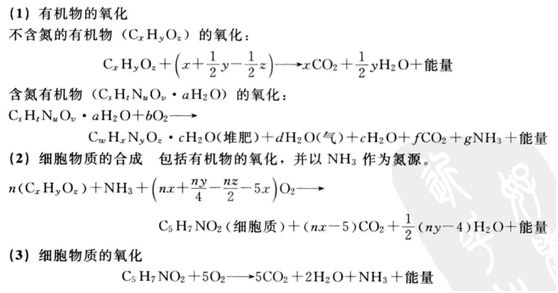 有機(jī)物的氧化與合成基本過(guò)程